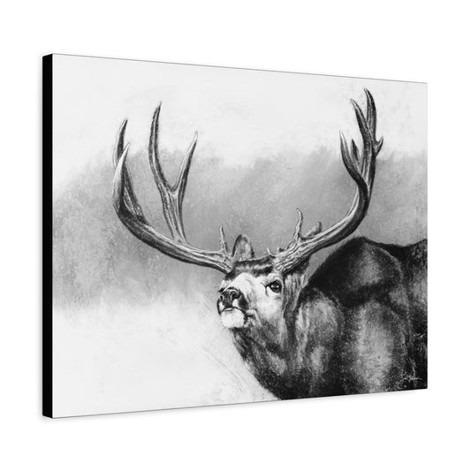 "Heavy & Wide" Stretched Canvas
