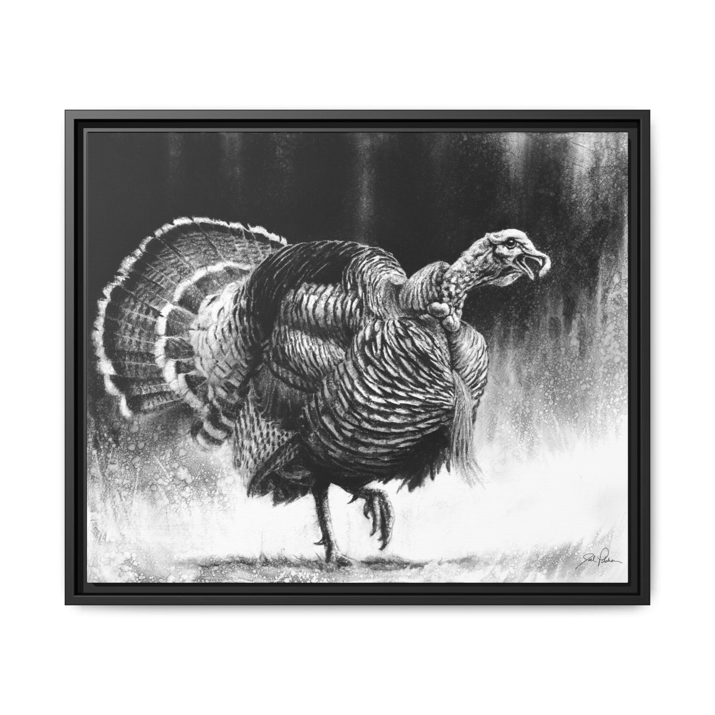 "Gobbler" Framed Canvas