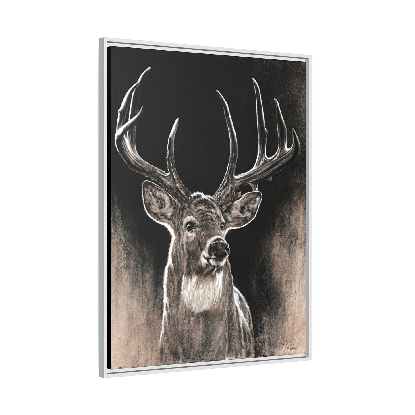 "Backlit Buck" Framed Canvas