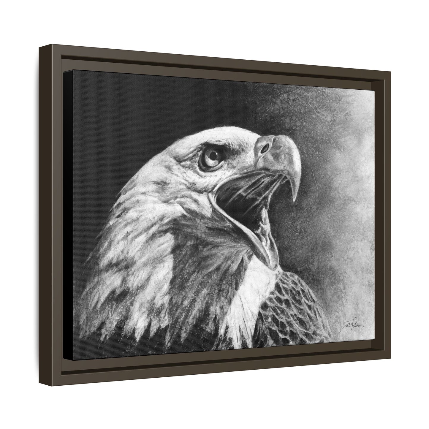 "Bald Eagle" Framed Canvas
