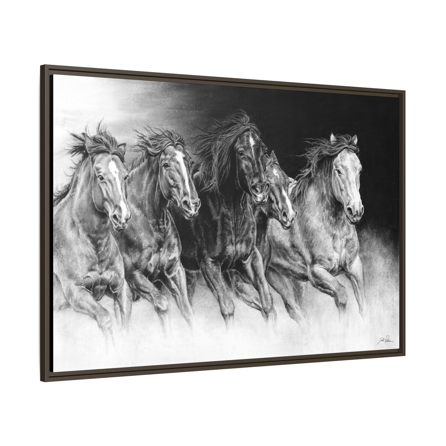 "Wild Bunch" Framed Canvas