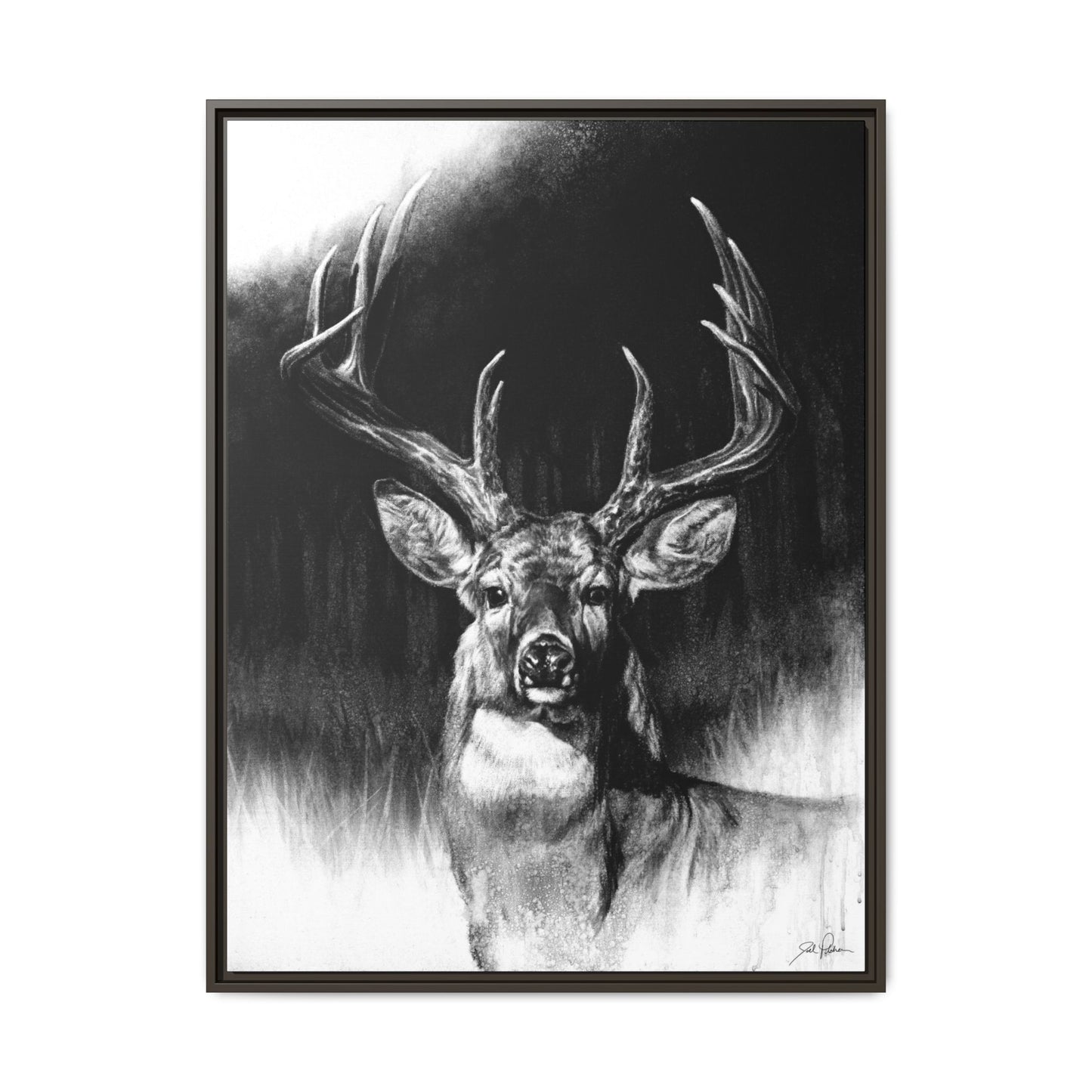 "Whitetail" Framed Canvas
