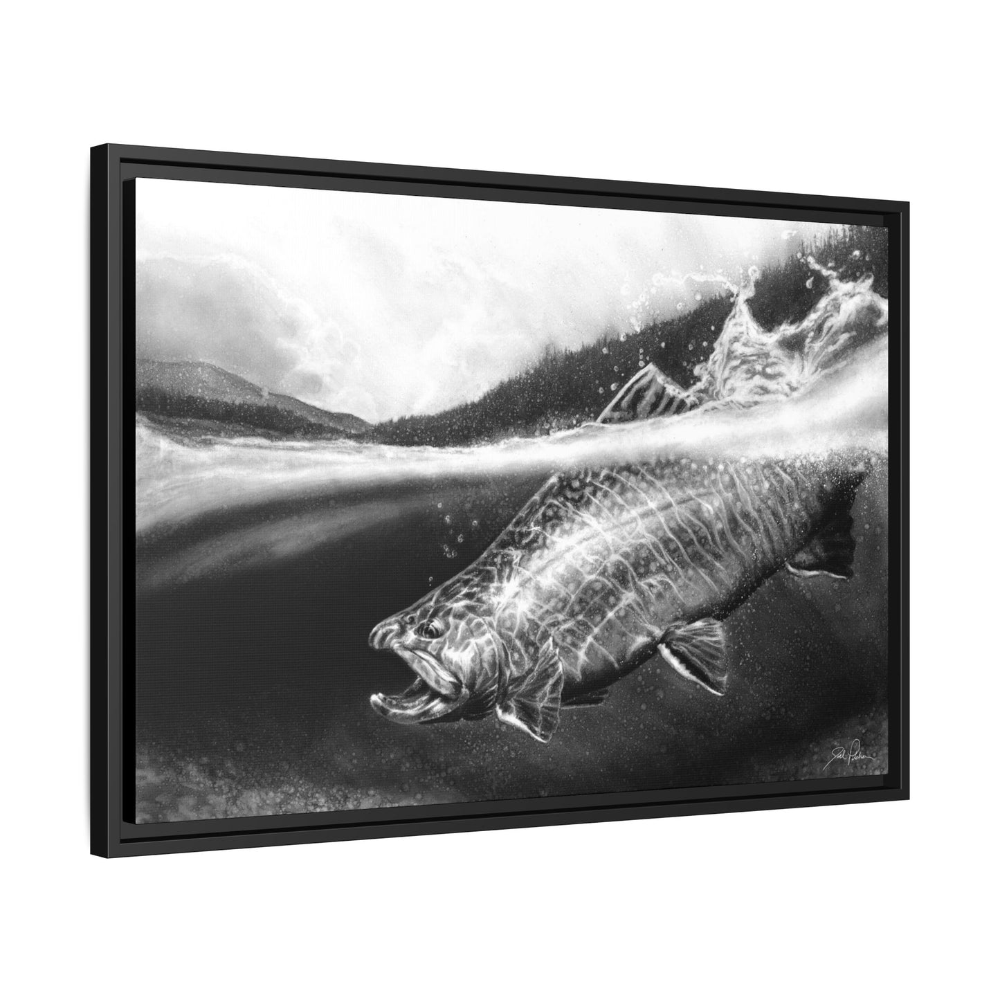 "Brook Trout" Framed Canvas