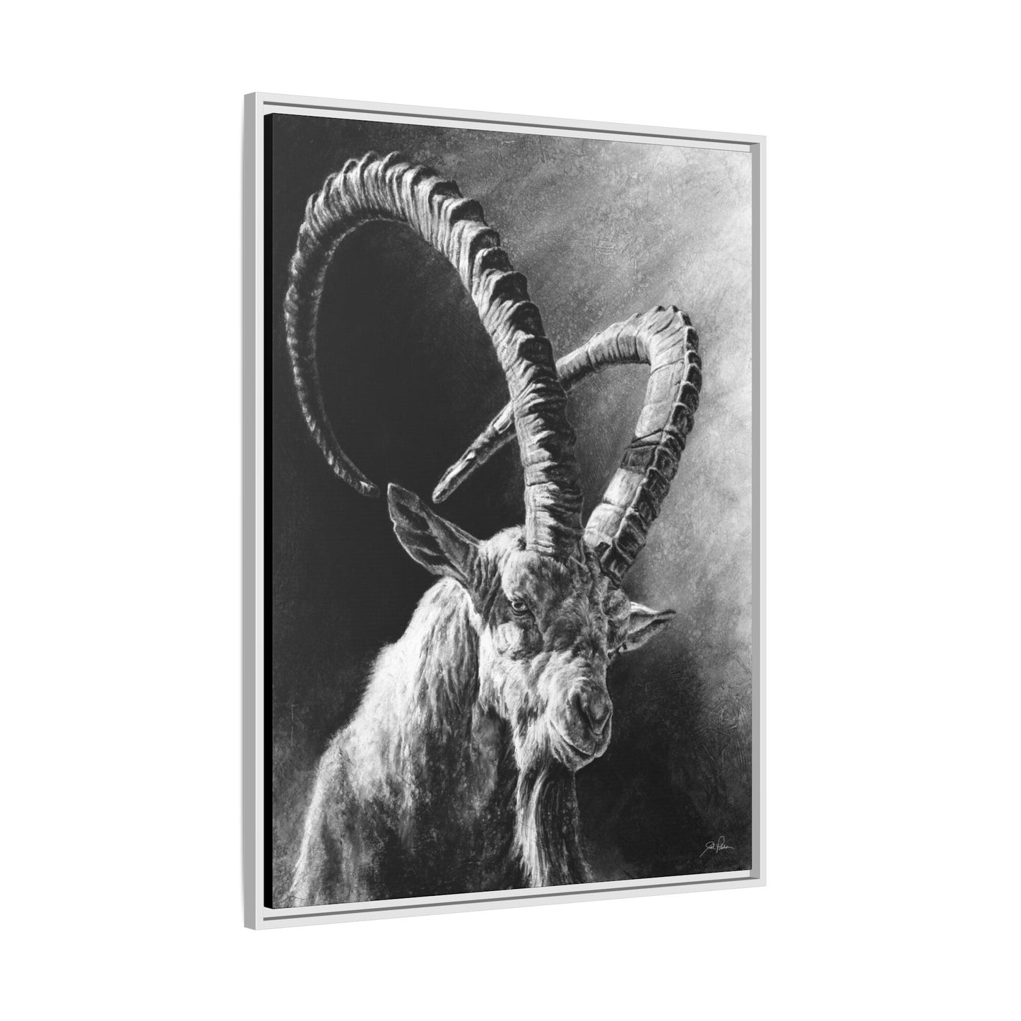 "Ibex" Framed Canvas