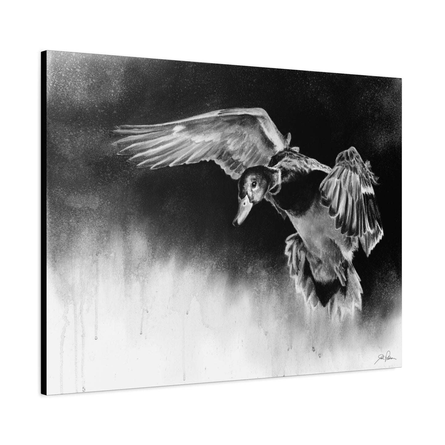 "Controlled Descent" Stretched Canvas