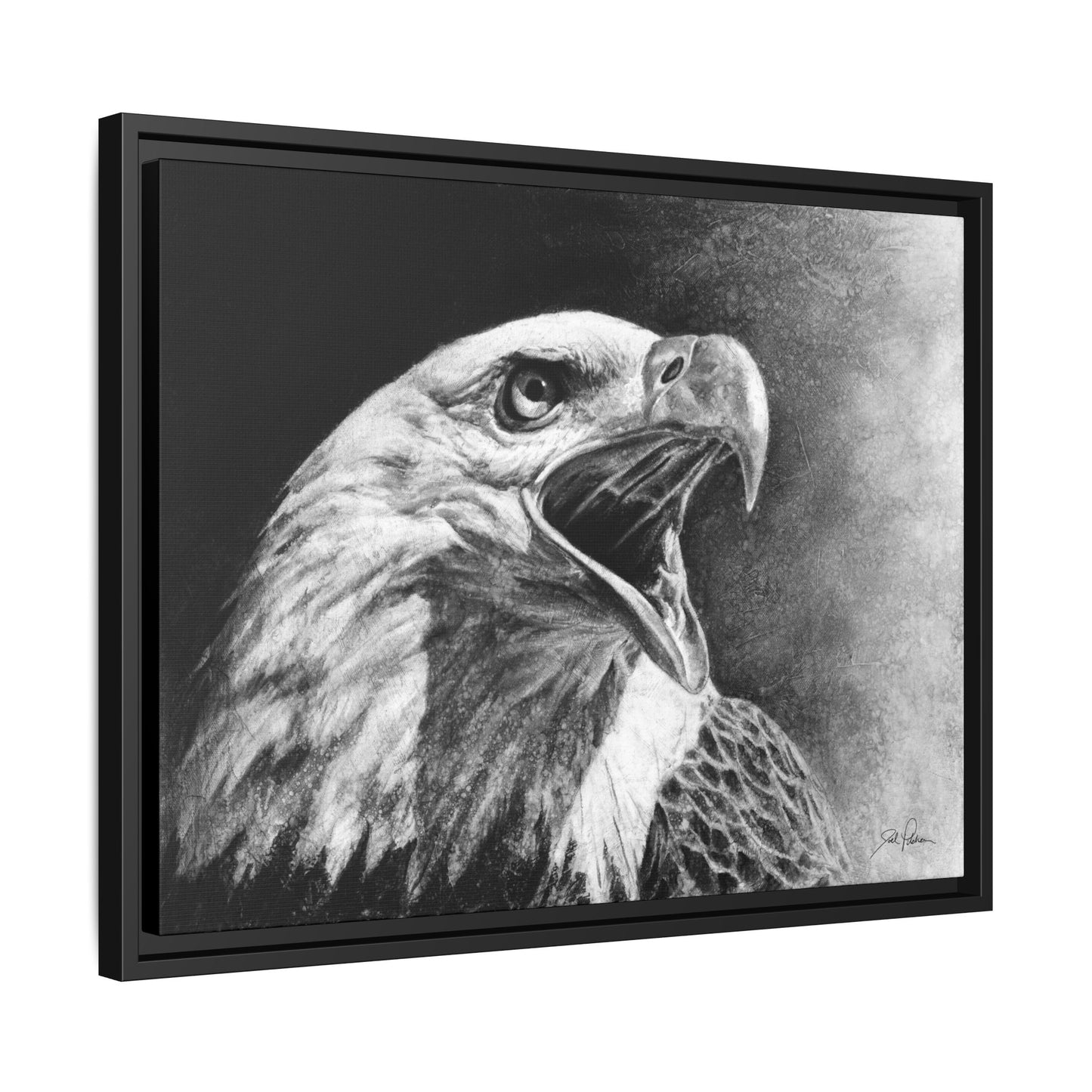 "Bald Eagle" Framed Canvas