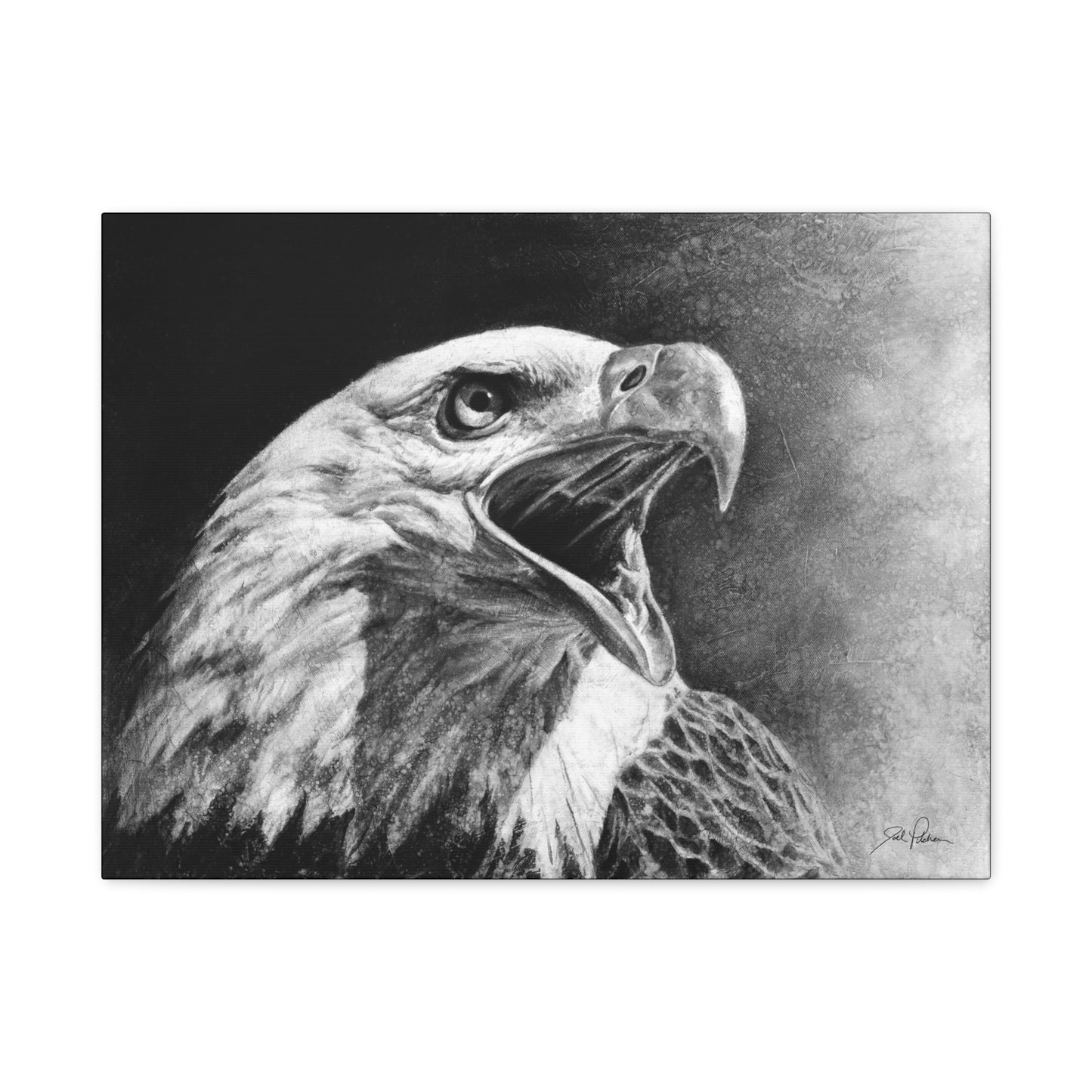 "Bald Eagle" Stretched Canvas