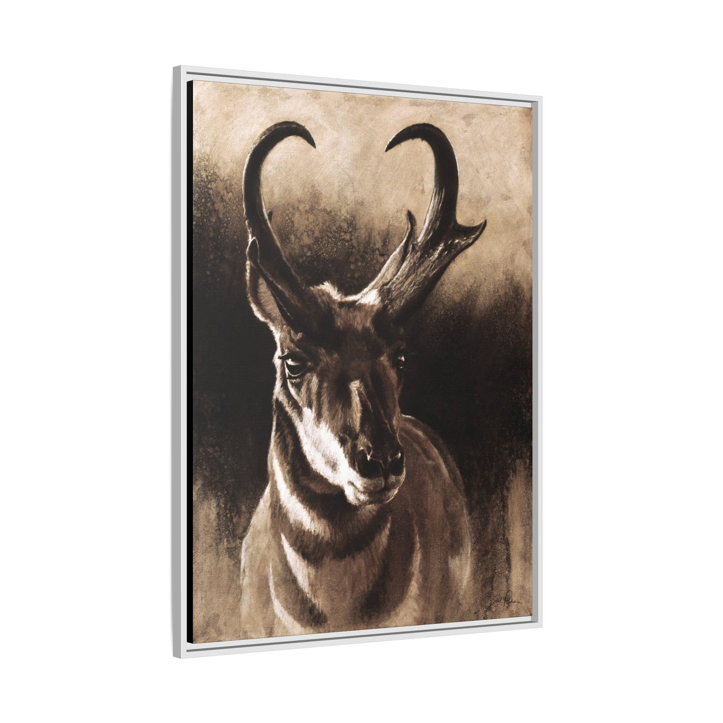 "Pronghorn" Framed Canvas
