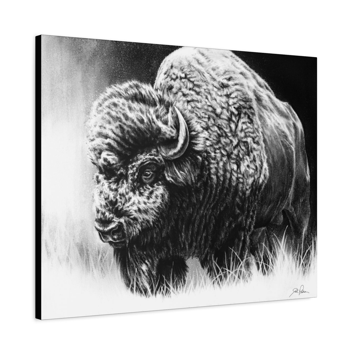 "Bull Dozer" Stretched Canvas