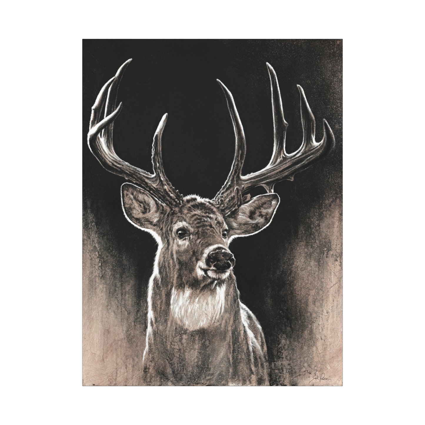 "Backlit Buck" Stretched Canvas