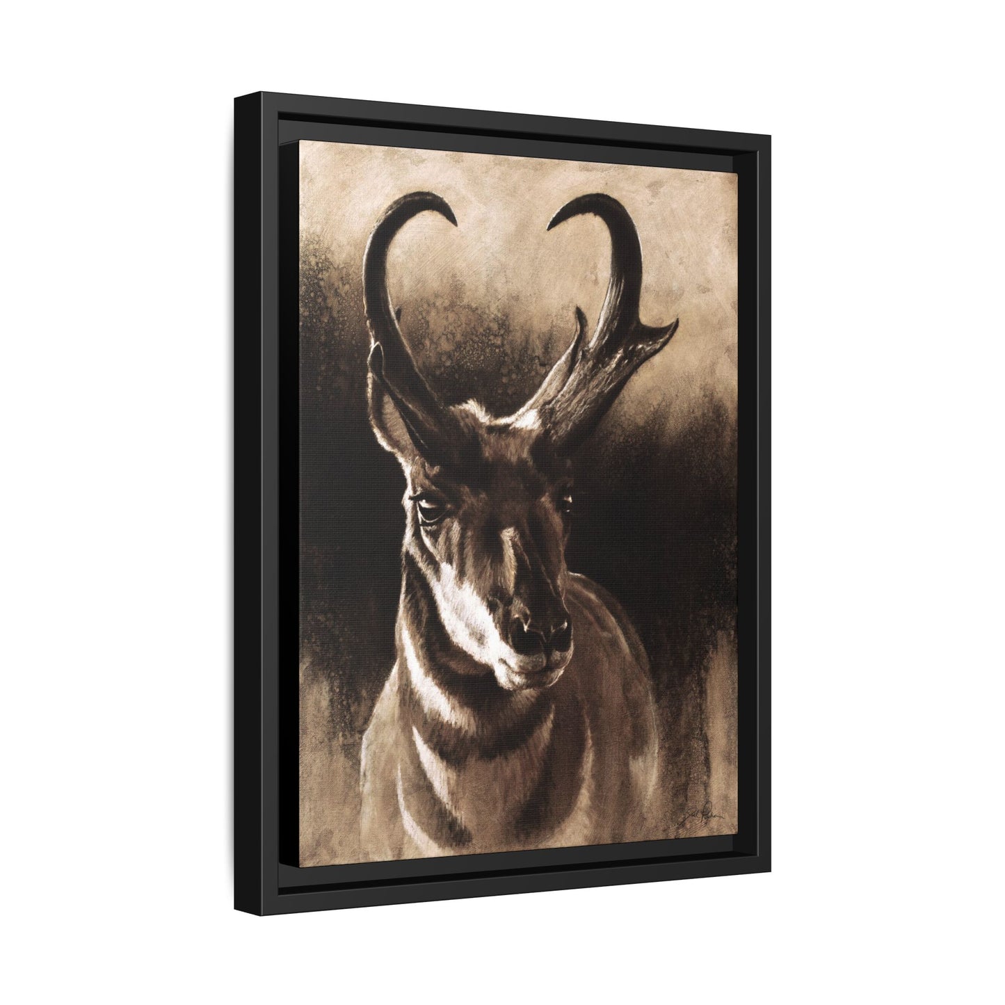 "Pronghorn" Framed Canvas