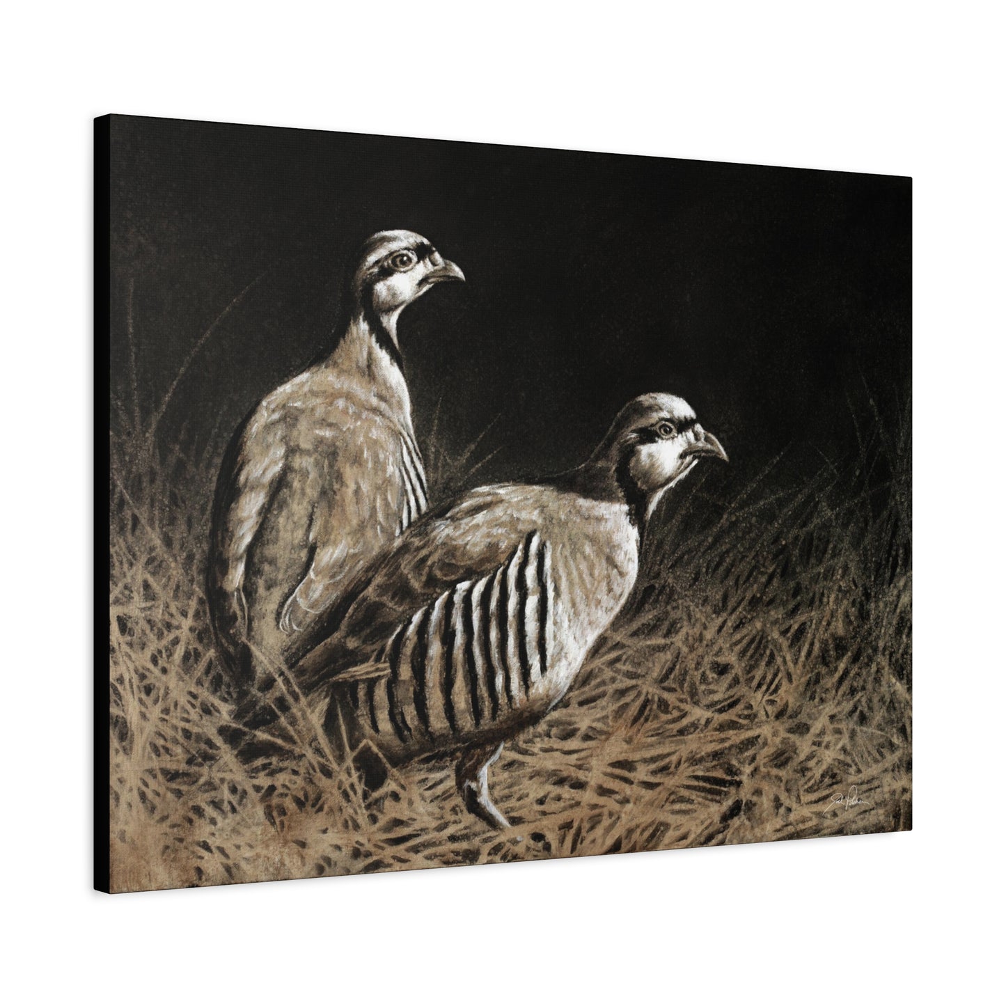 "Chukars" Stretched Canvas