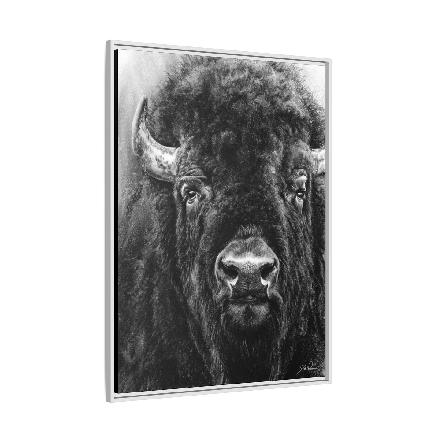 "Tatanka" Framed Canvas