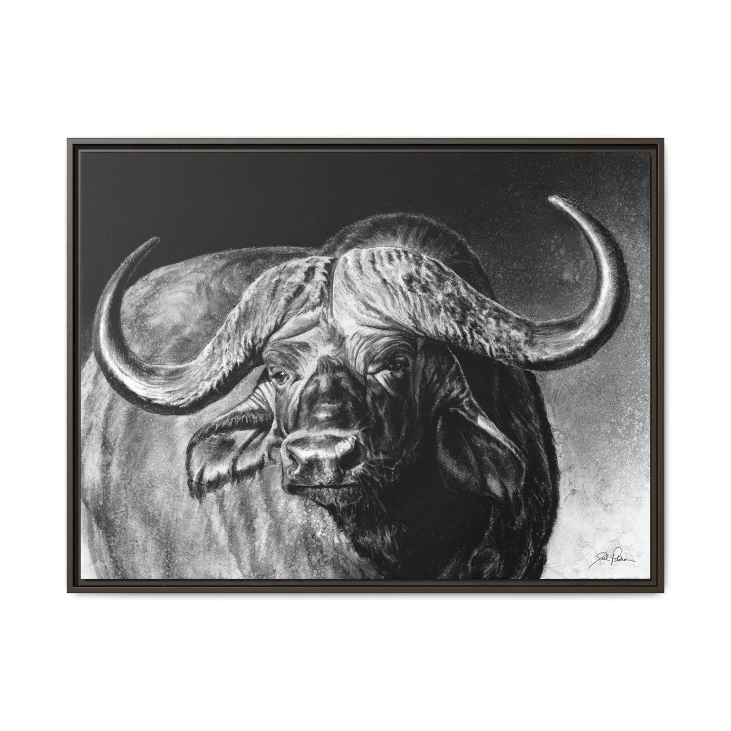 "Cape Buffalo" Framed Canvas