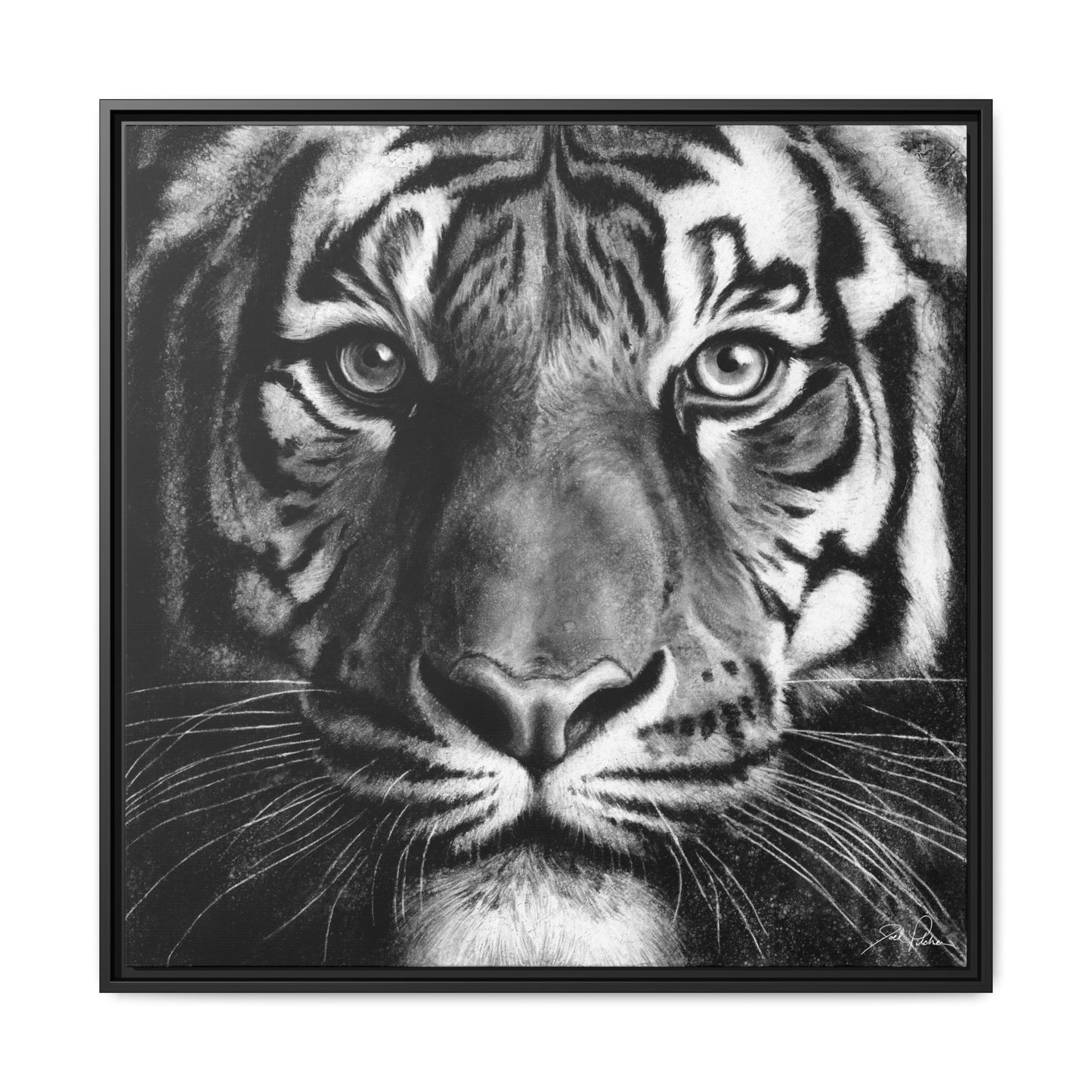 "Tiger" Framed Canvas