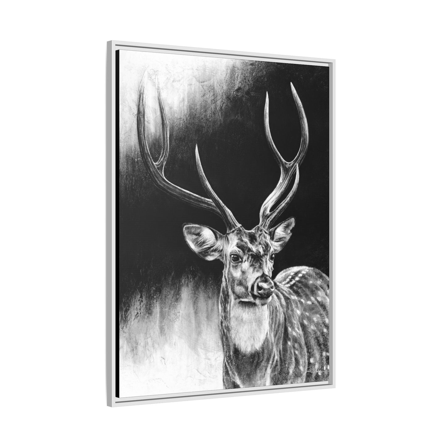 "Axis Buck" Framed Canvas