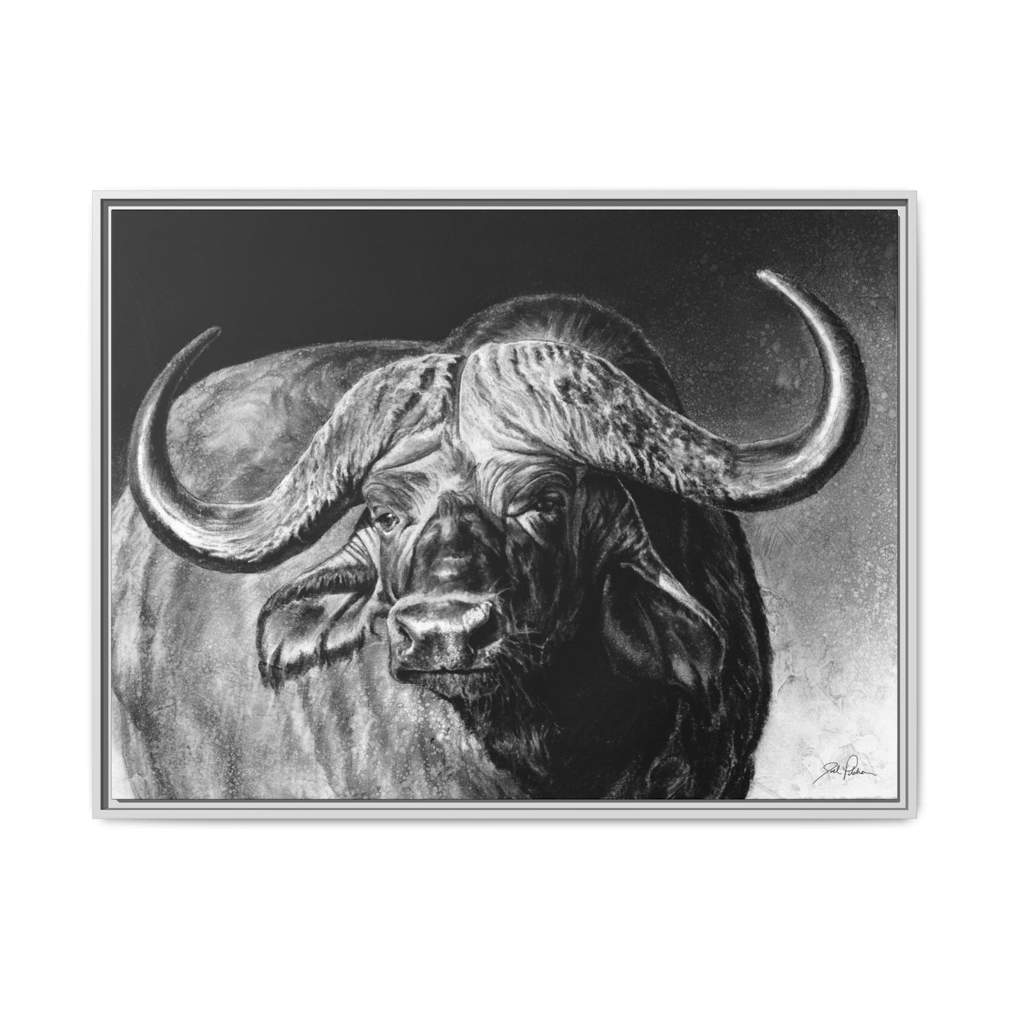 "Cape Buffalo" Framed Canvas
