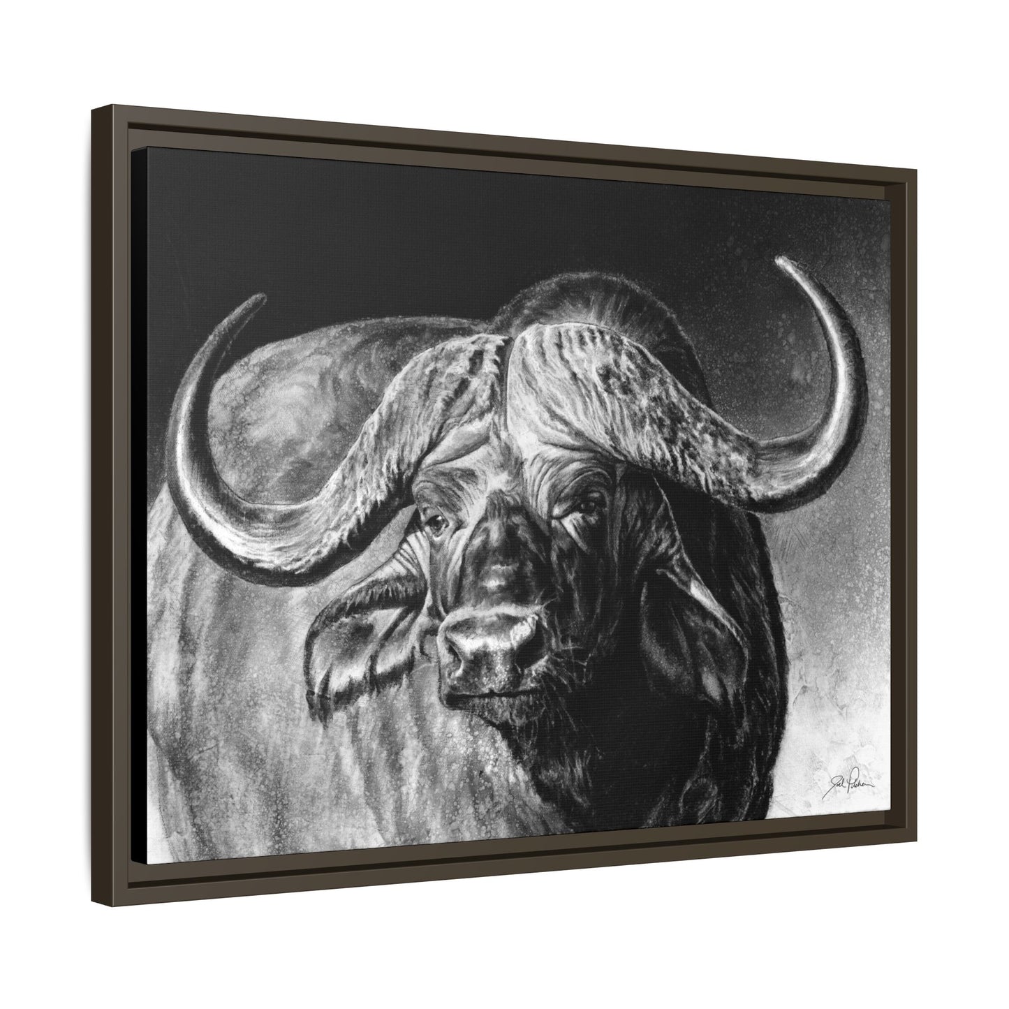 "Cape Buffalo" Framed Canvas