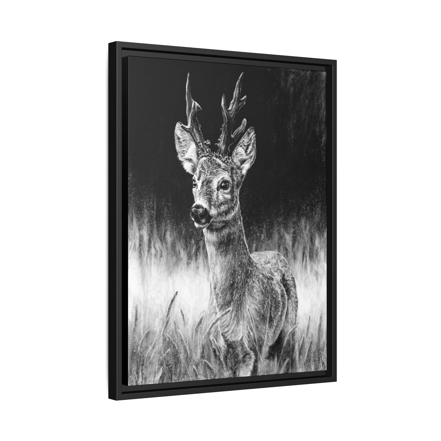 "Roe Deer" Framed Canvas