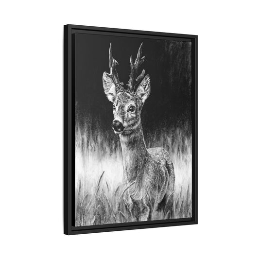 "Roe Deer" Framed Canvas