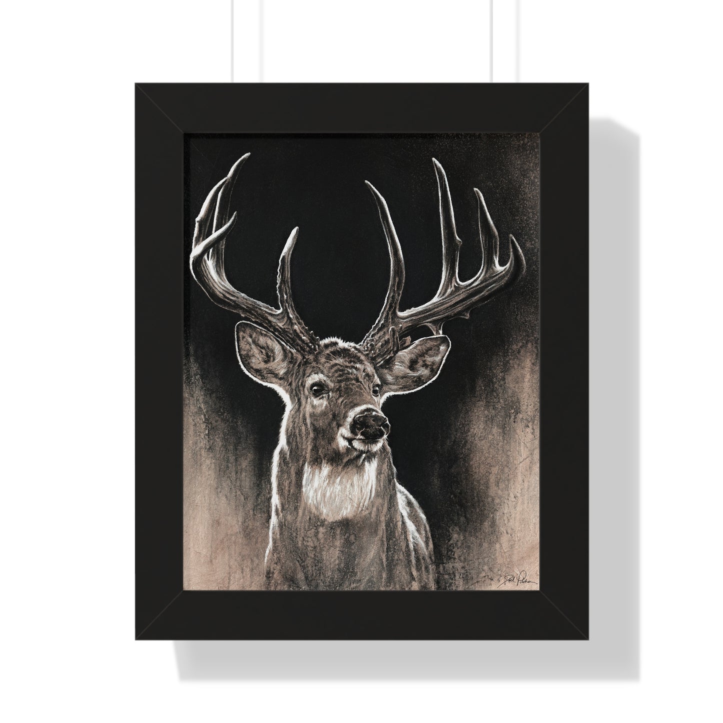 "Backlit Buck" Framed Paper Print