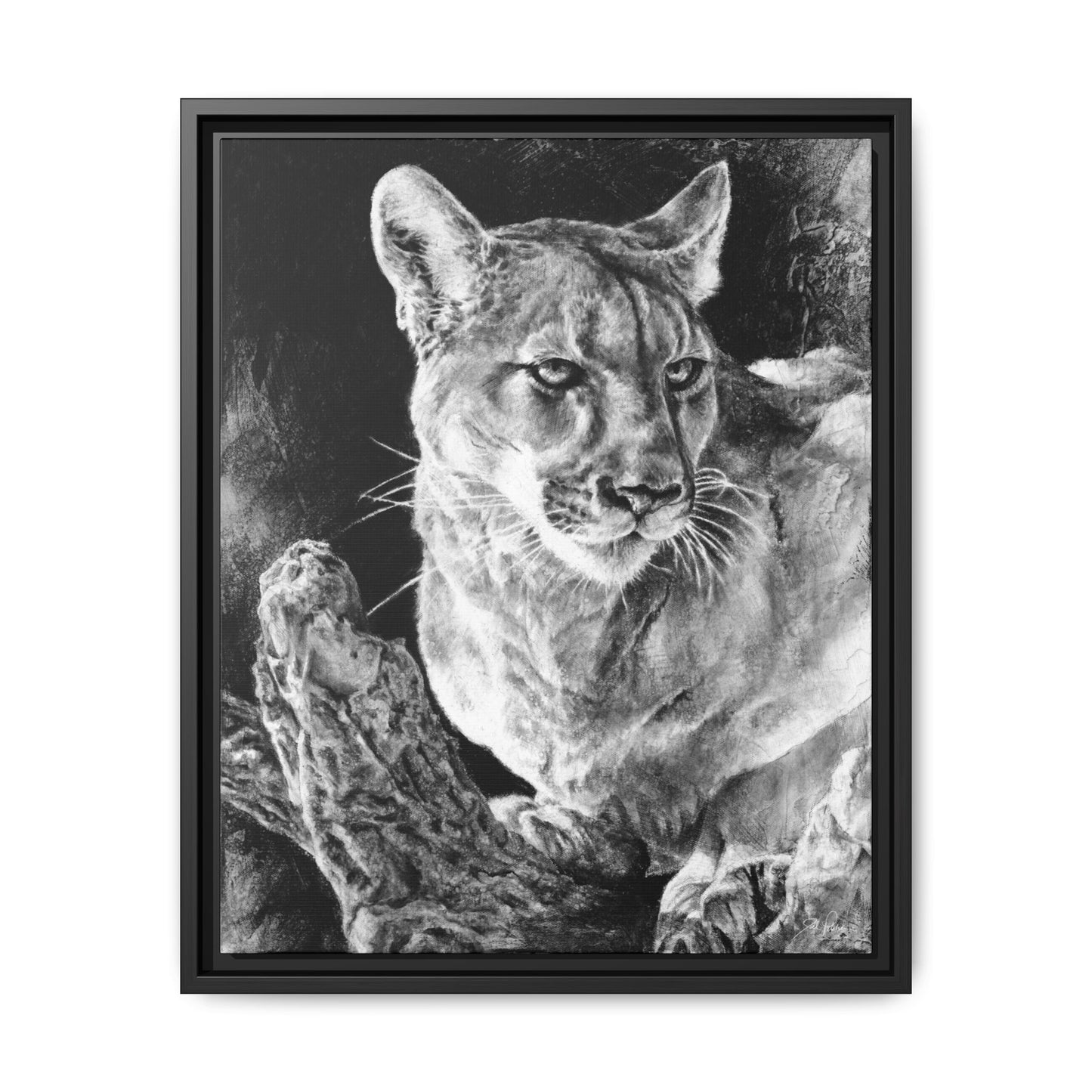 "Mountain Lion" Framed Canvas