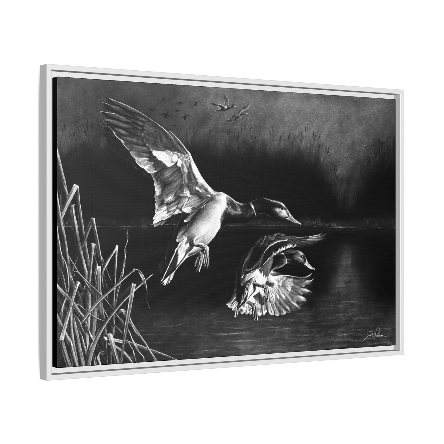 "Banded Brothers" Framed Canvas