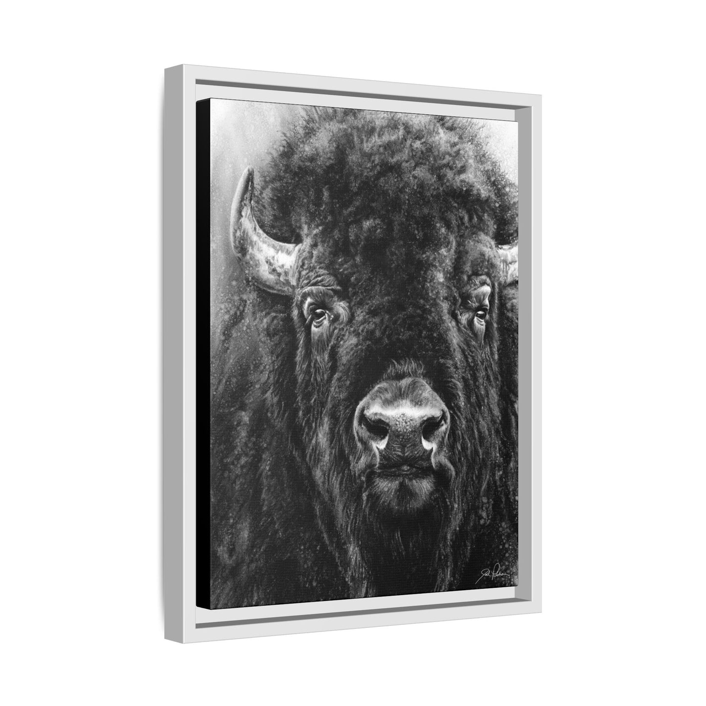 "Tatanka" Framed Canvas