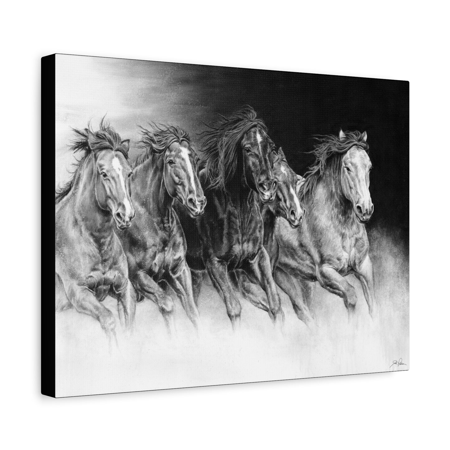 "Wild Bunch" Stretched Canvas