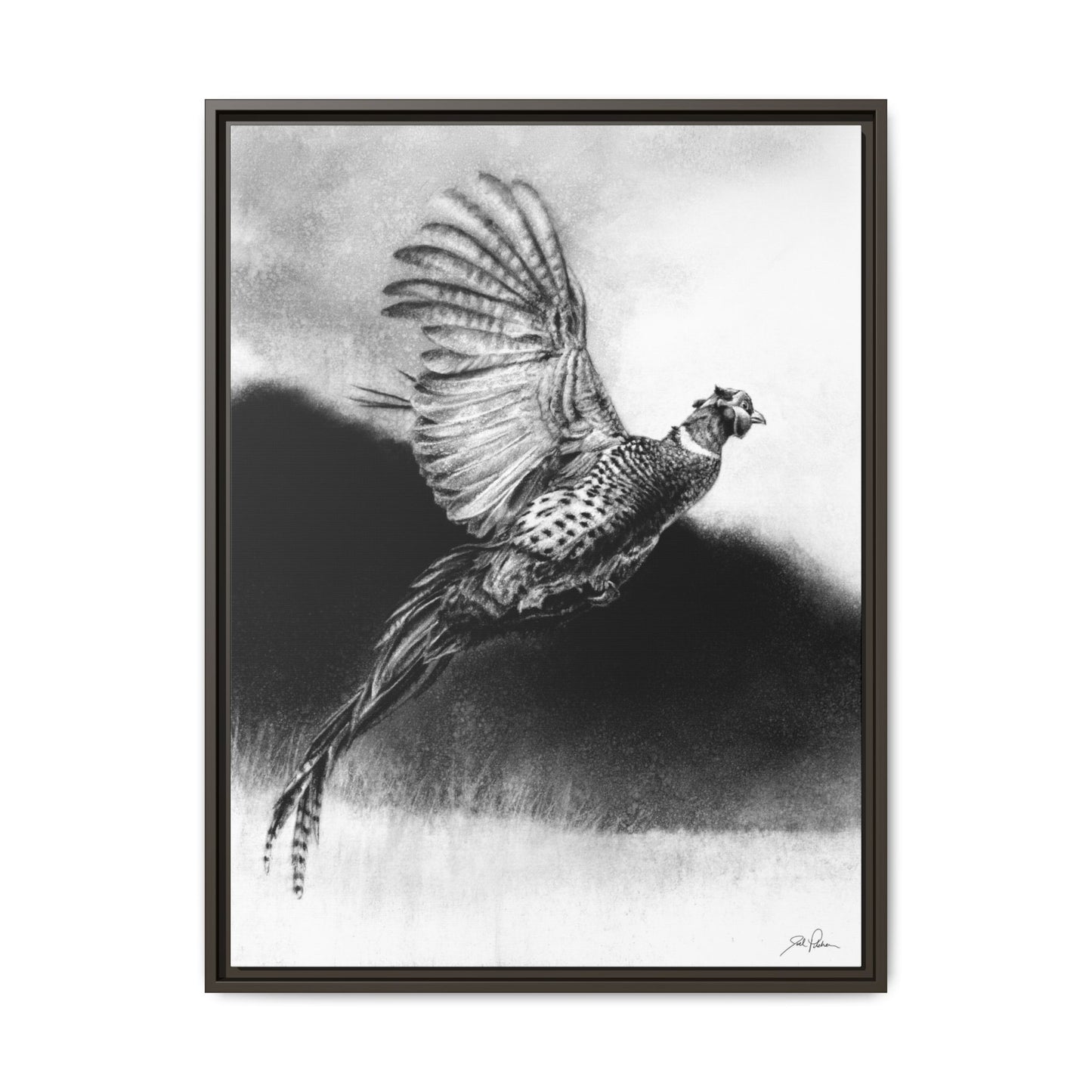 "Flushed" Framed Canvas
