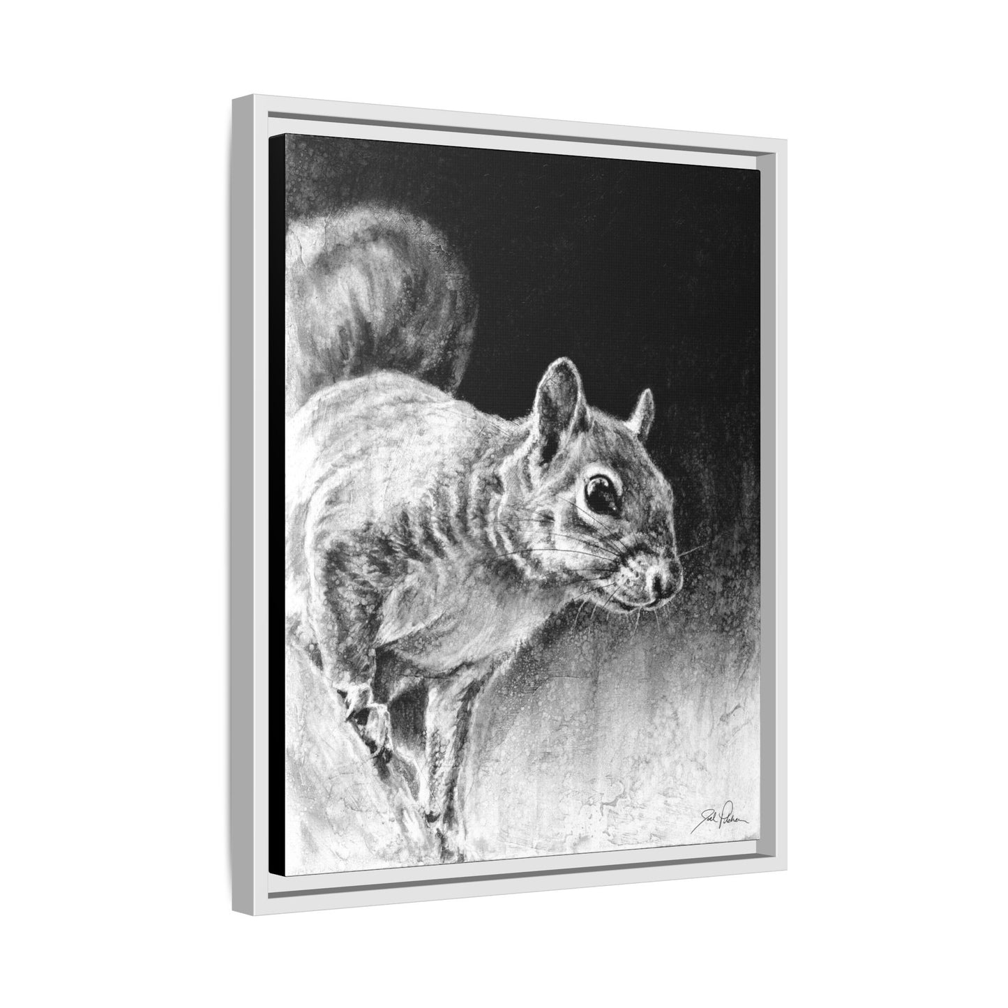 "Squirrel" Framed Canvas