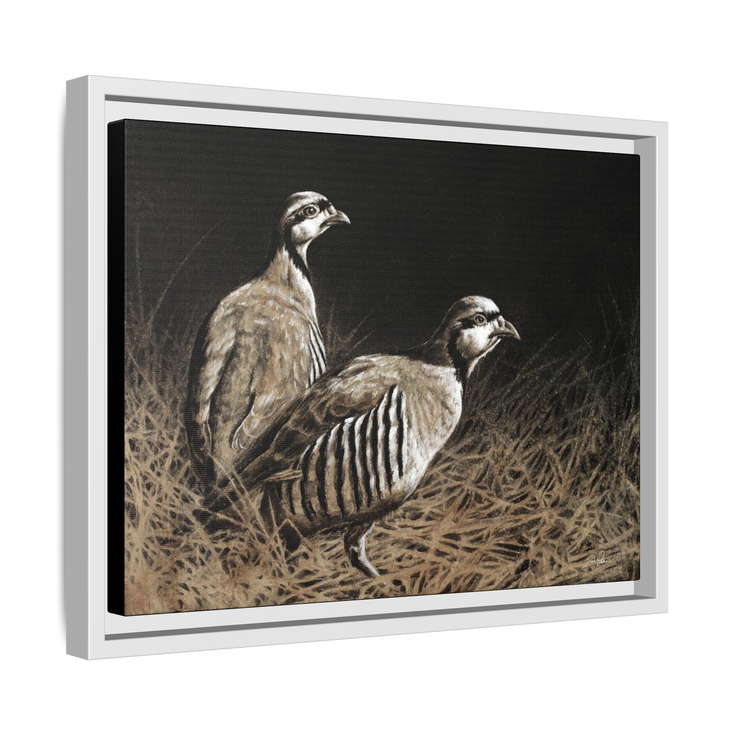 "Chukars" Framed Canvas