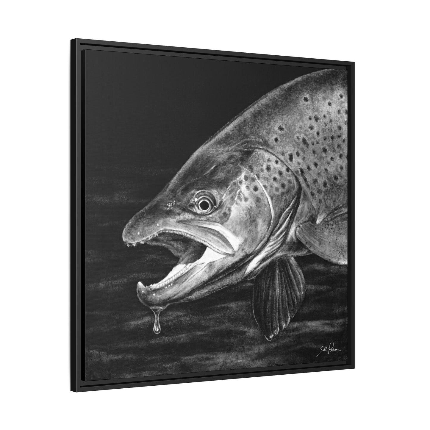 "Brown Trout" Framed Canvas