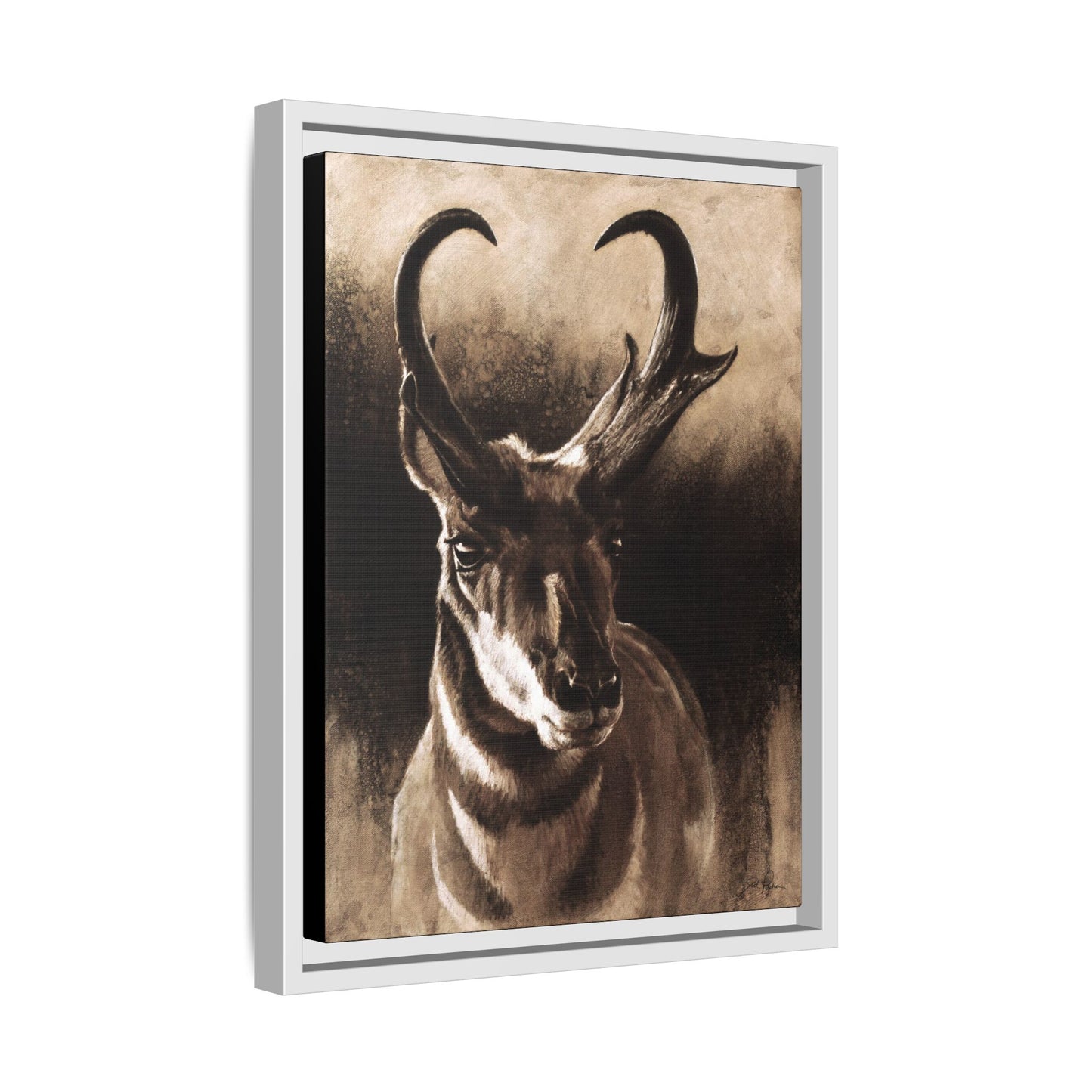 "Pronghorn" Framed Canvas