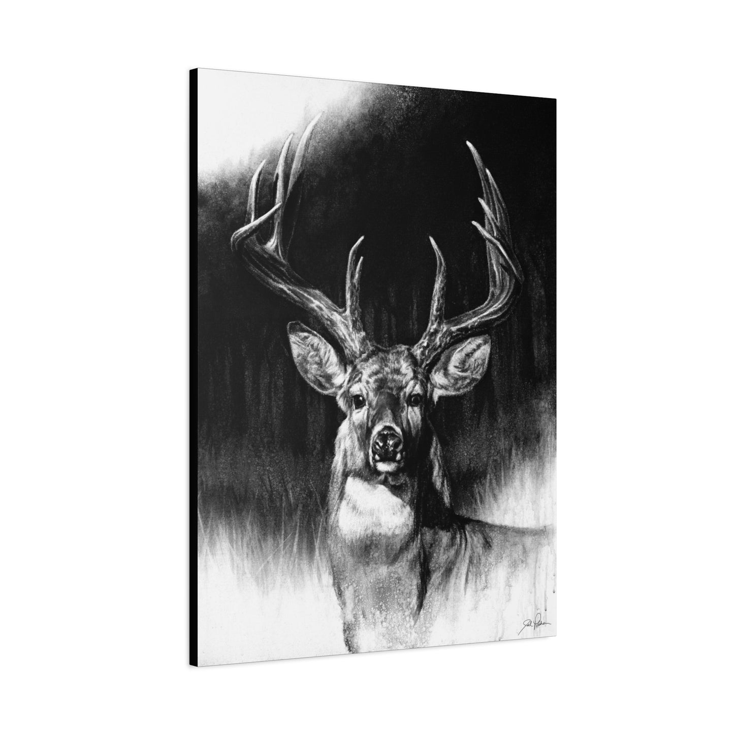 "Whitetail" Stretched Canvas