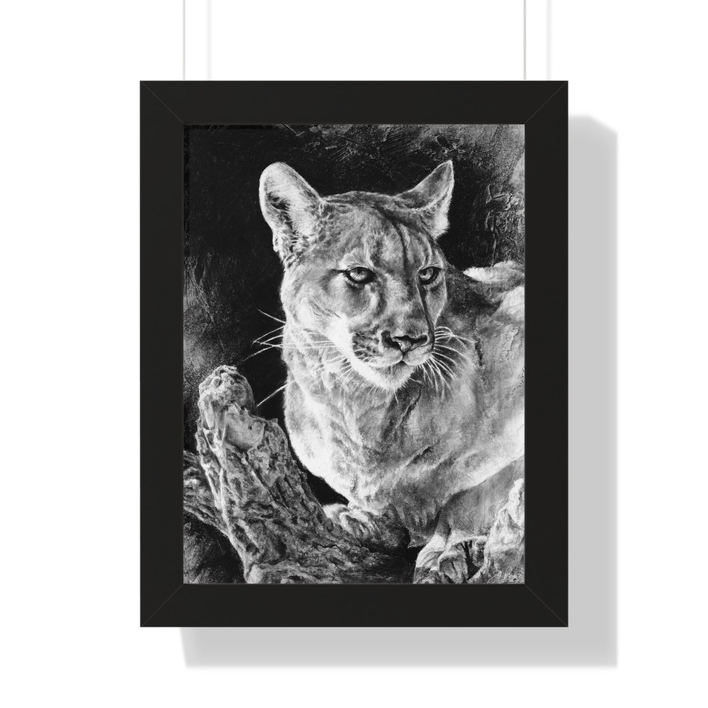 "Mountain Lion" Framed Paper Print