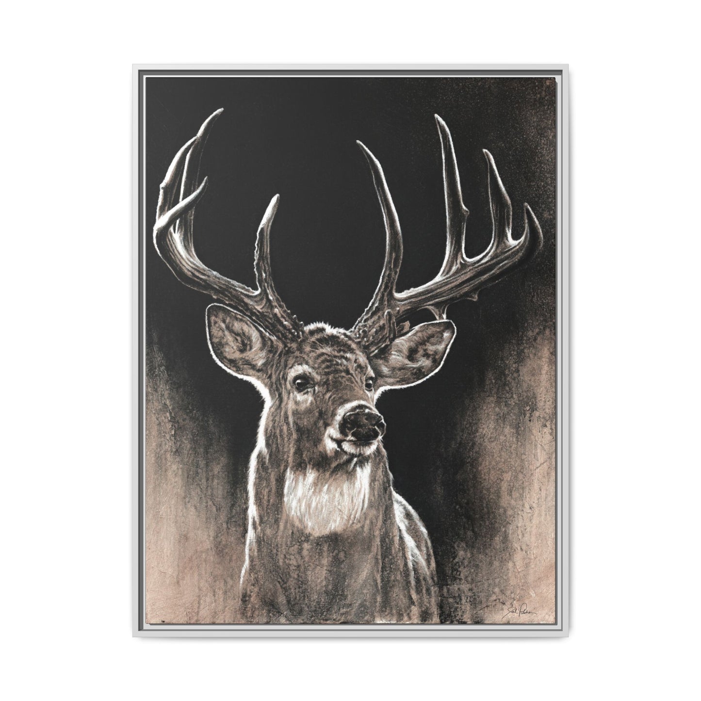 "Backlit Buck" Framed Canvas