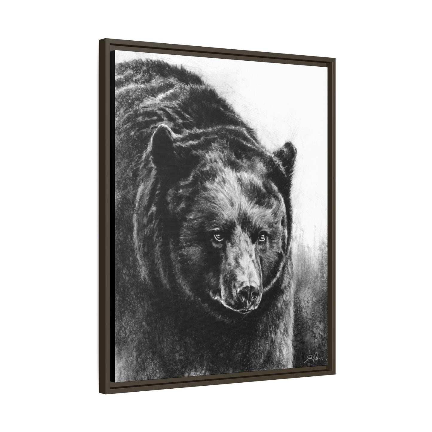 "Black Bear" Framed Canvas