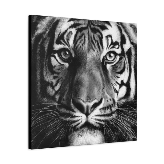 "Tiger" Stretched Canvas