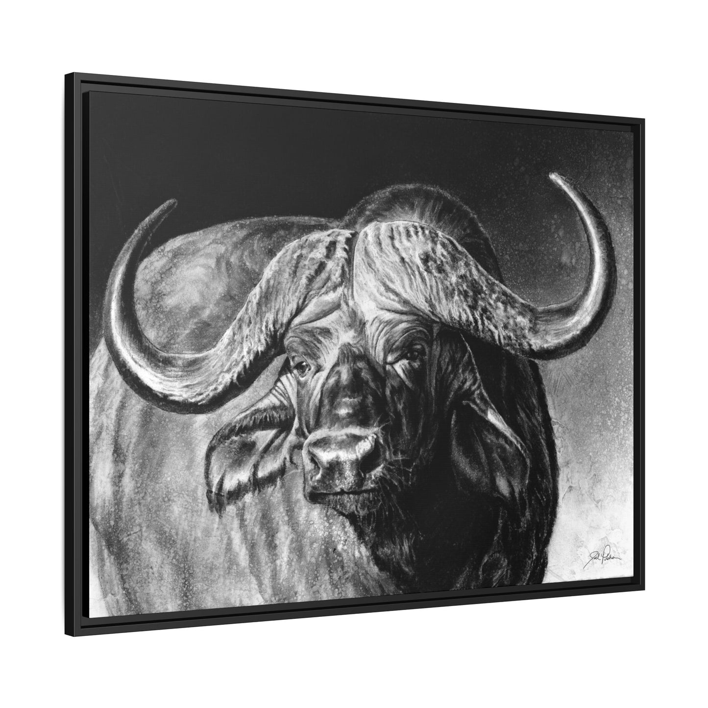"Cape Buffalo" Framed Canvas
