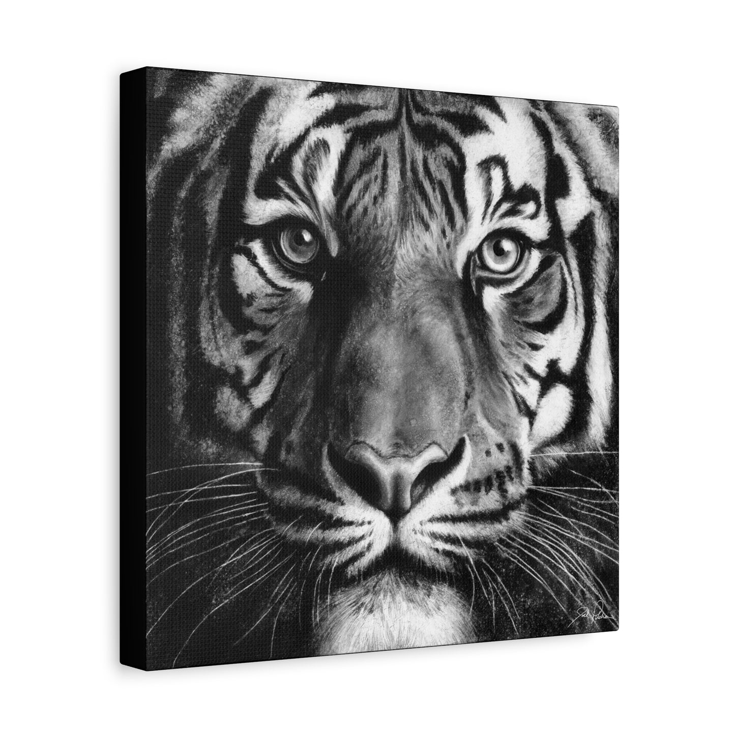 "Tiger" Stretched Canvas