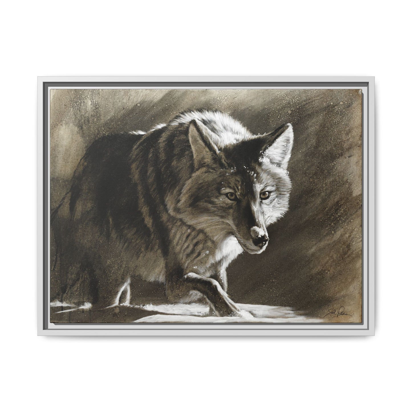 "Coyote" Framed Canvas
