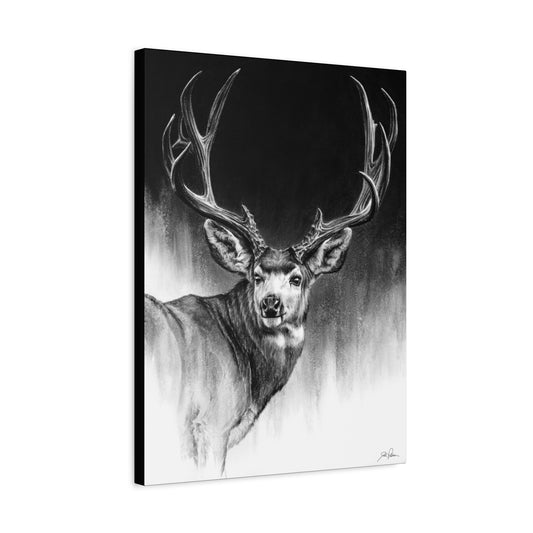 "Looking Back" Stretched Canvas