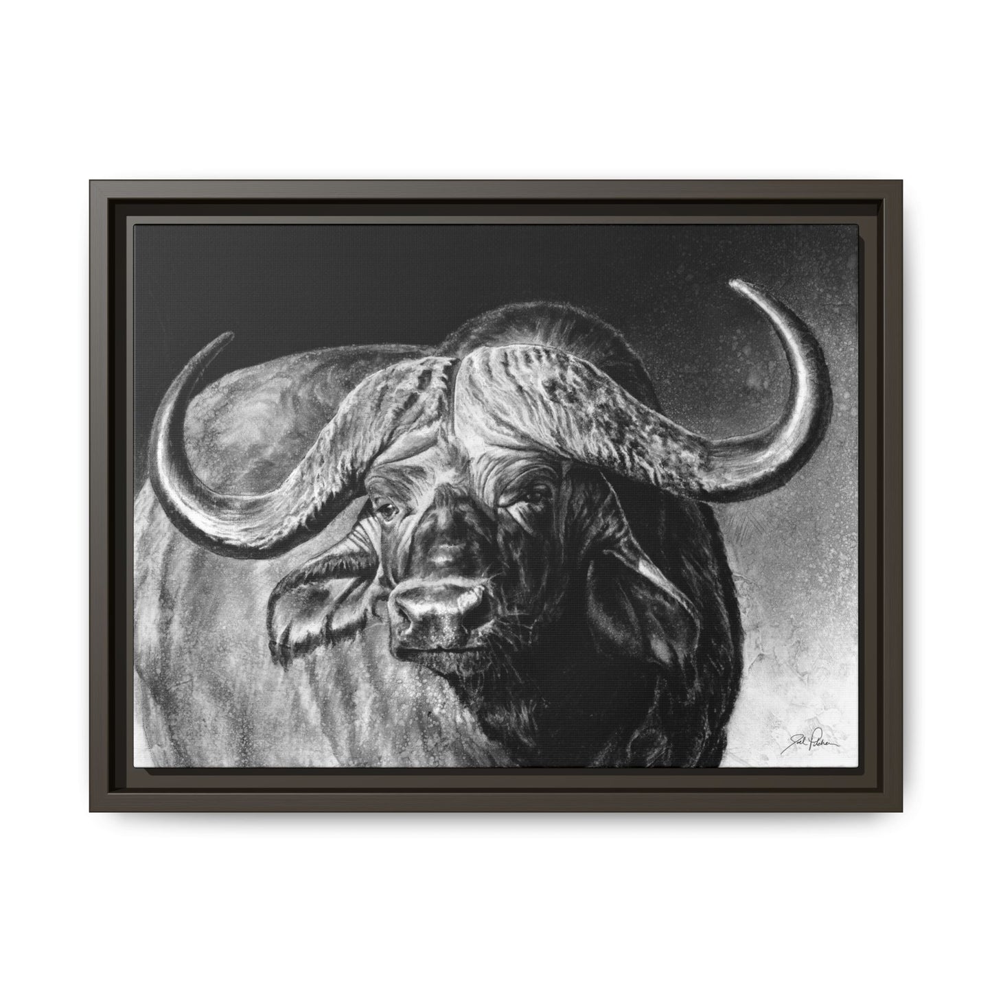 "Cape Buffalo" Framed Canvas