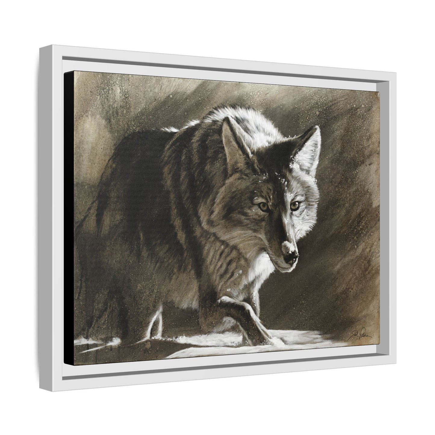 "Coyote" Framed Canvas