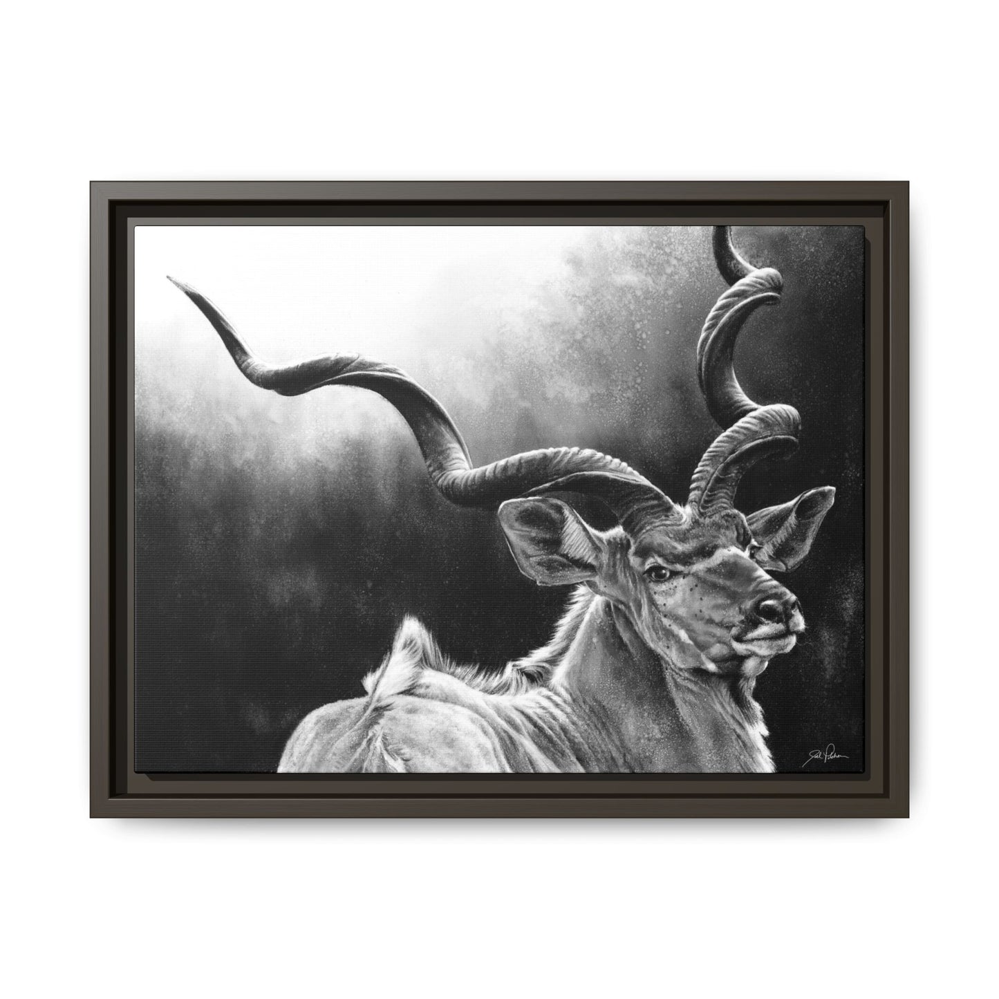 "Kudu" Framed Canvas