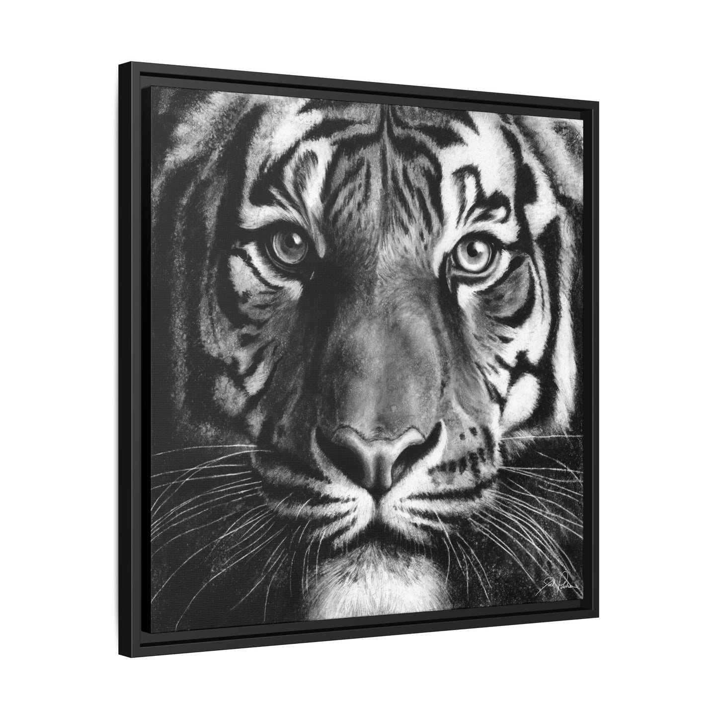 "Tiger" Framed Canvas