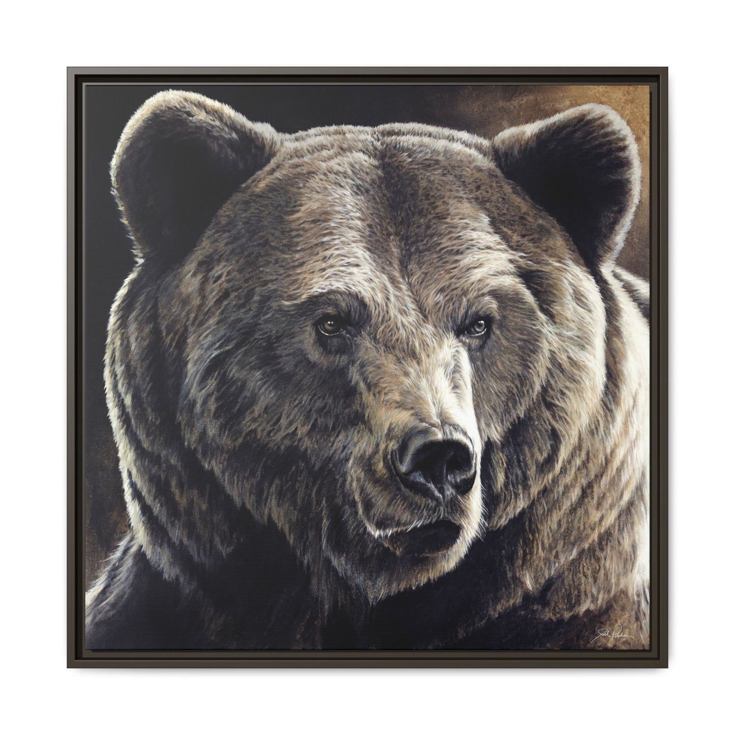 "Kodiak" Framed Canvas