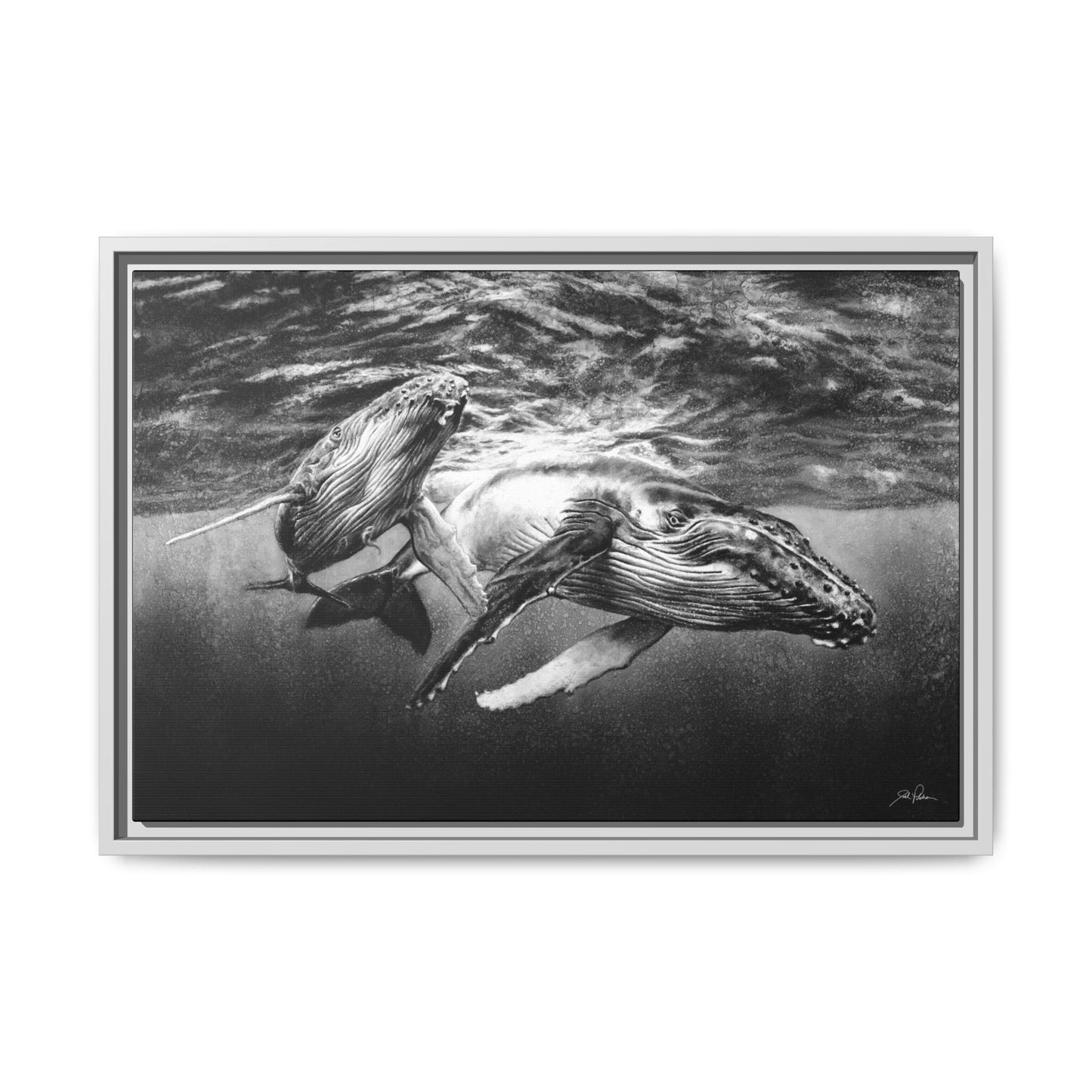 "Humpback Whales" Framed Canvas