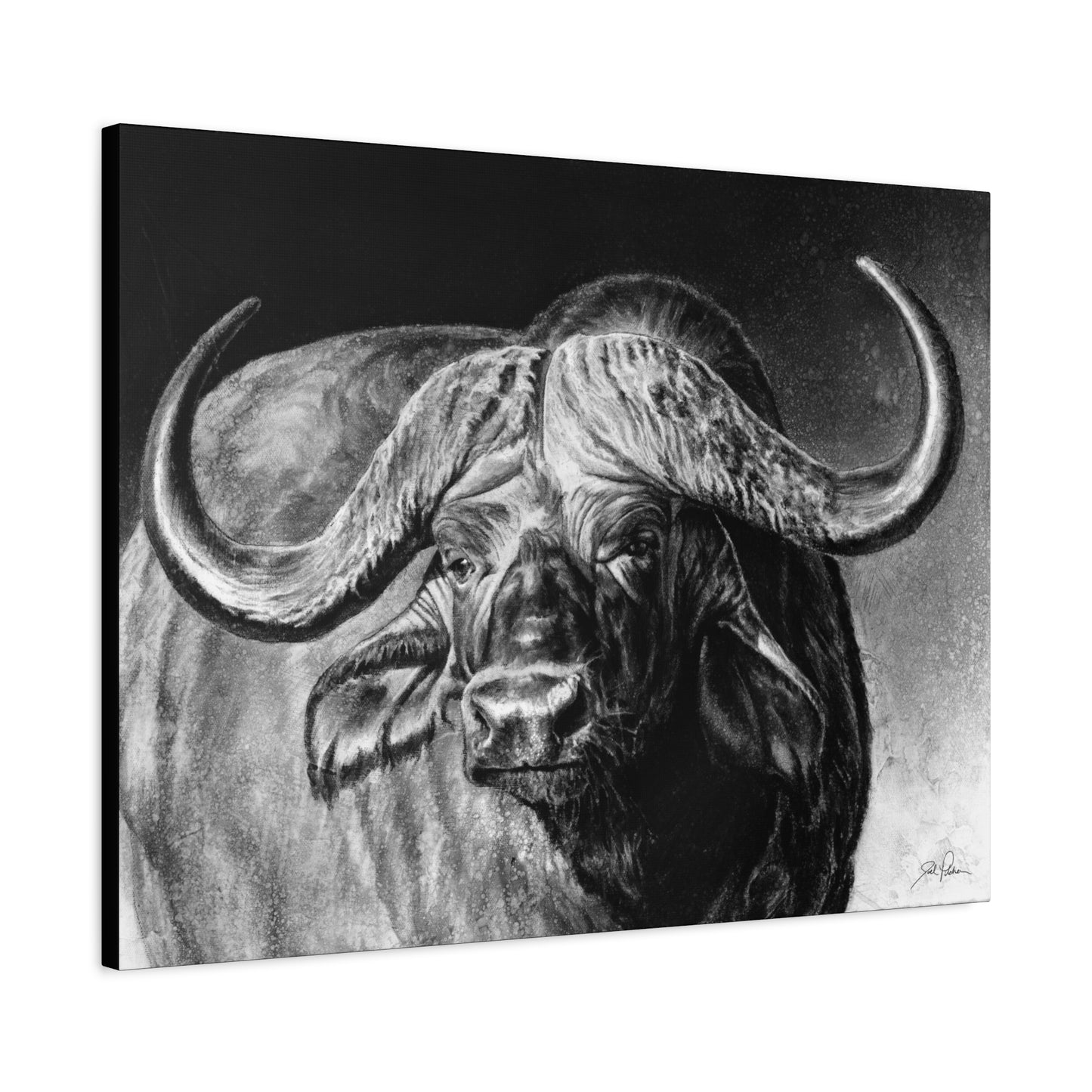 "Cape Buffalo" Stretched Canvas